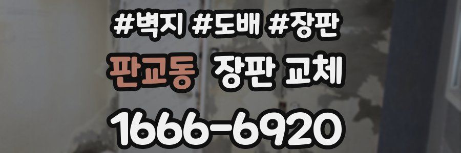 판교동 장판 교체