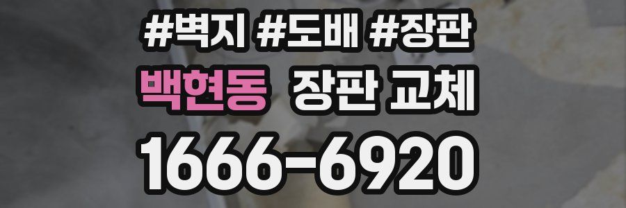백현동 장판 교체