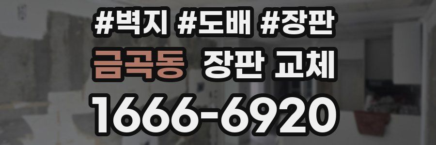 금곡동 장판 교체