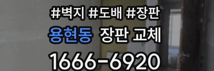 용현동 장판 교체