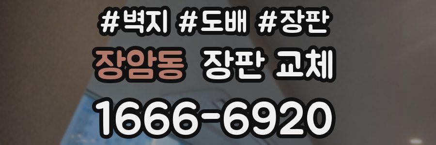 장암동 장판 교체