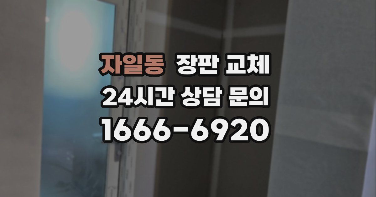 자일동 장판 교체