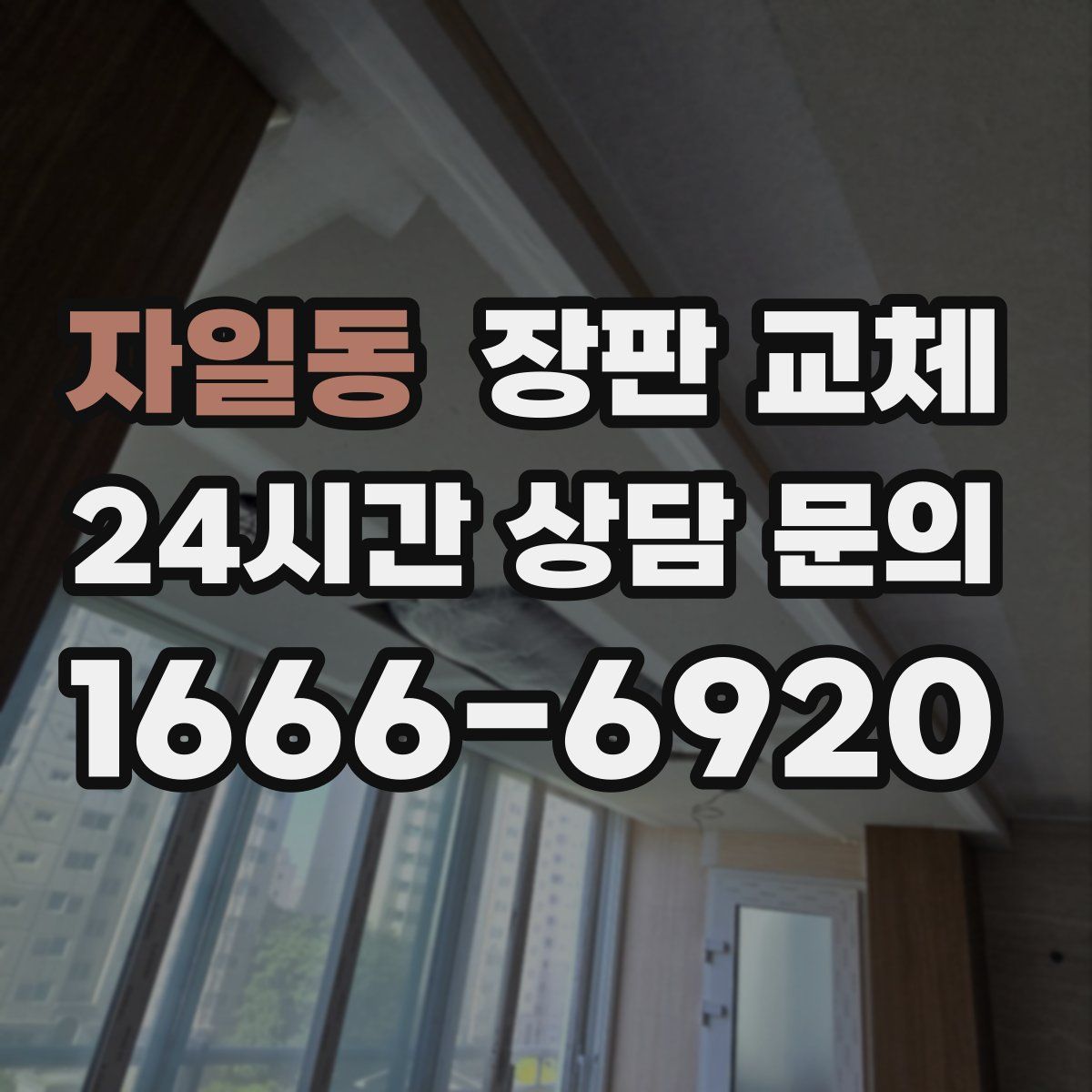 자일동 장판 교체