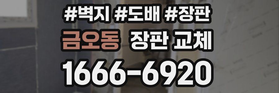 금오동 장판 교체