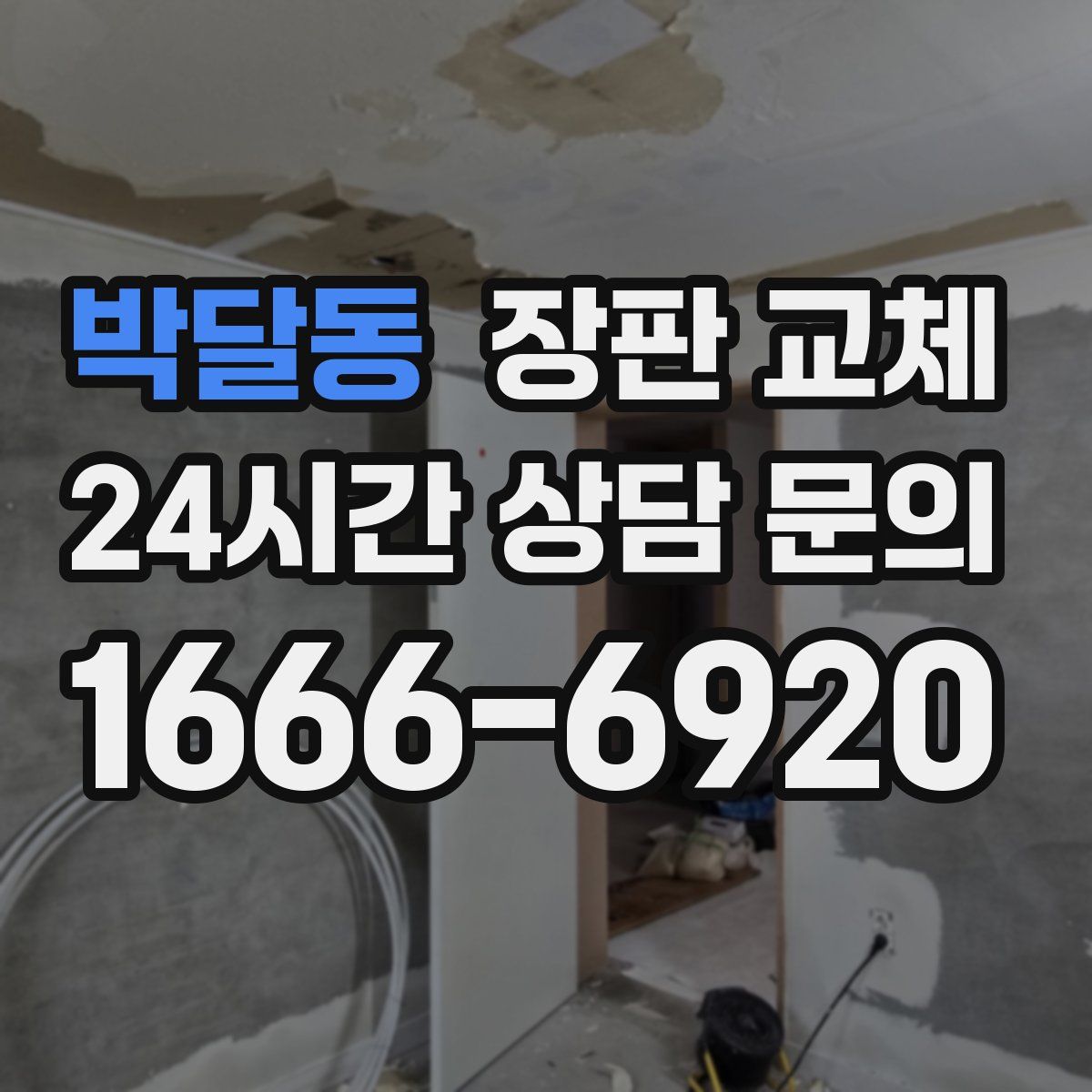 박달동 장판 교체