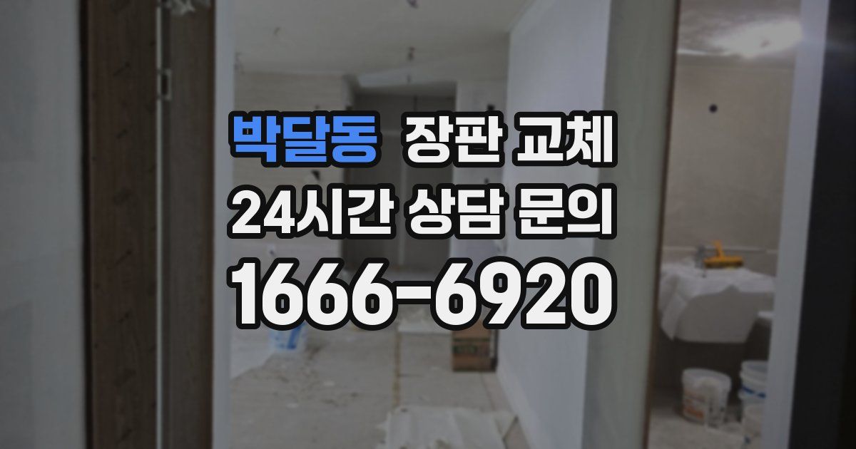 박달동 장판 교체