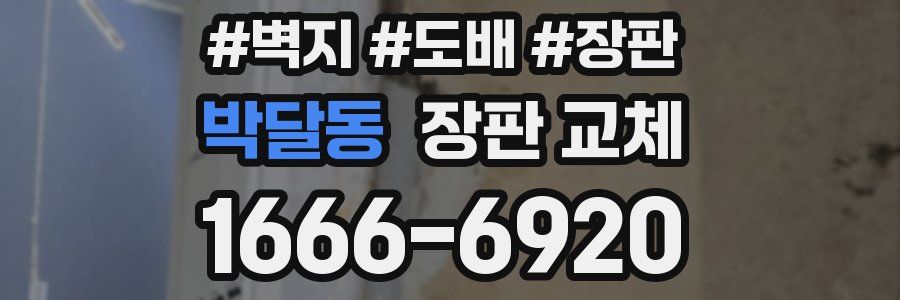 박달동 장판 교체