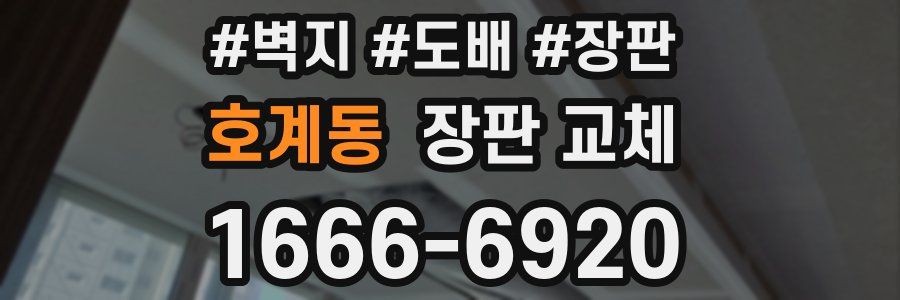 호계동 장판 교체