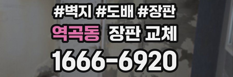 역곡동 장판 교체