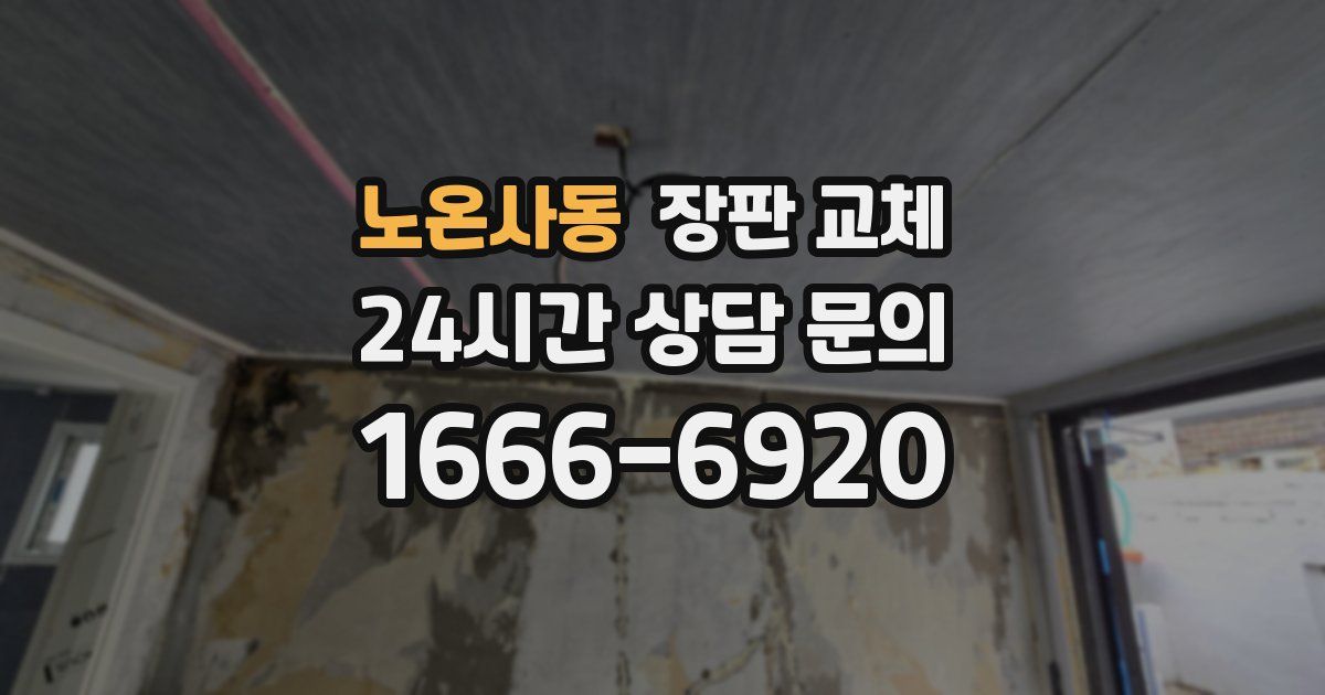노온사동 장판 교체