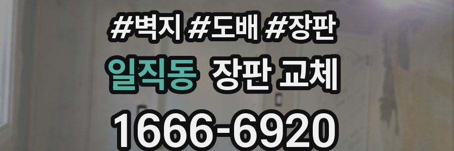 일직동 장판 교체