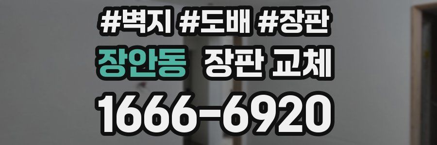 장안동 장판 교체