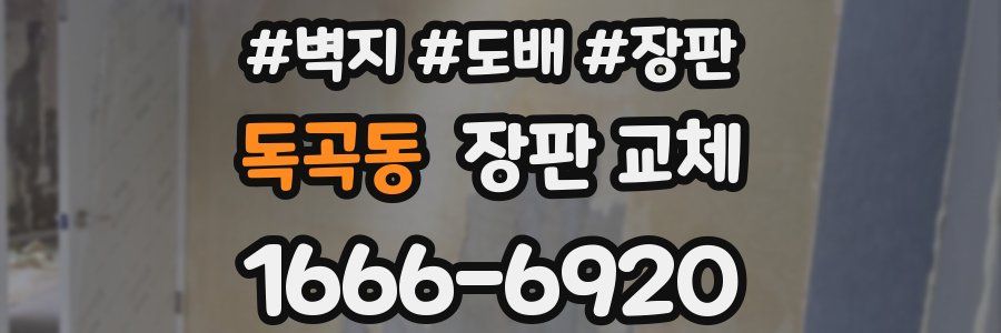 독곡동 장판 교체