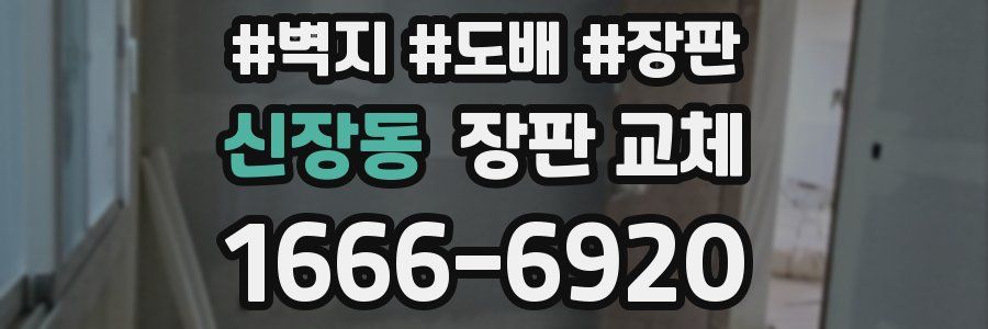 신장동 장판 교체
