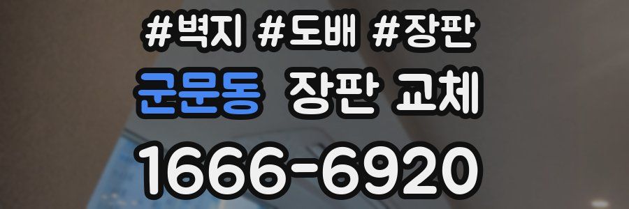 군문동 장판 교체
