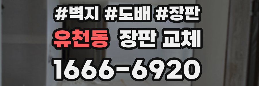 유천동 장판 교체