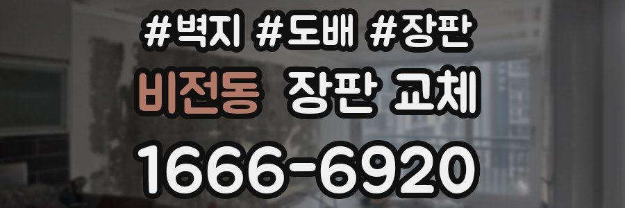 비전동 장판 교체