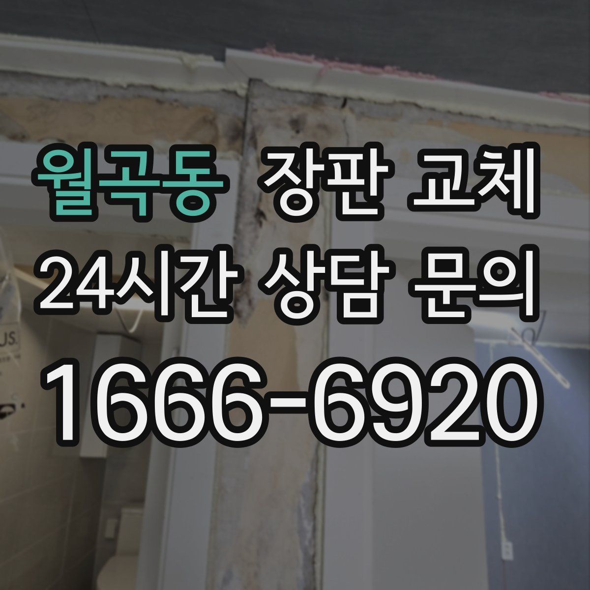 월곡동 장판 교체