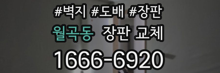 월곡동 장판 교체