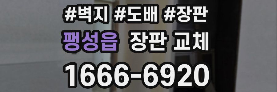 팽성읍 장판 교체
