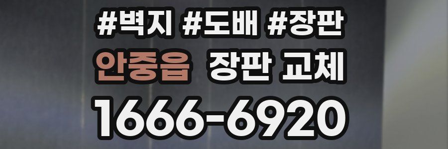 안중읍 장판 교체