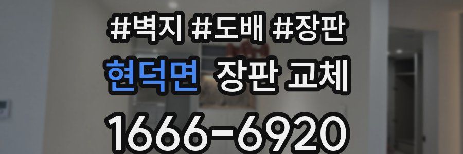 현덕면 장판 교체