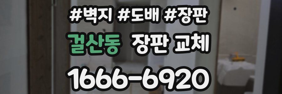 걸산동 장판 교체
