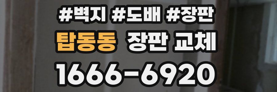 탑동동 장판 교체