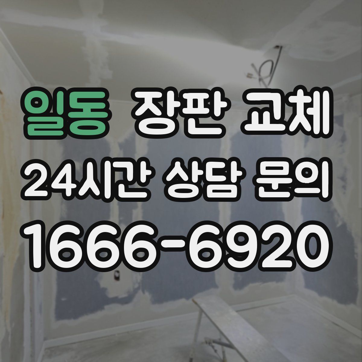 일동 장판 교체