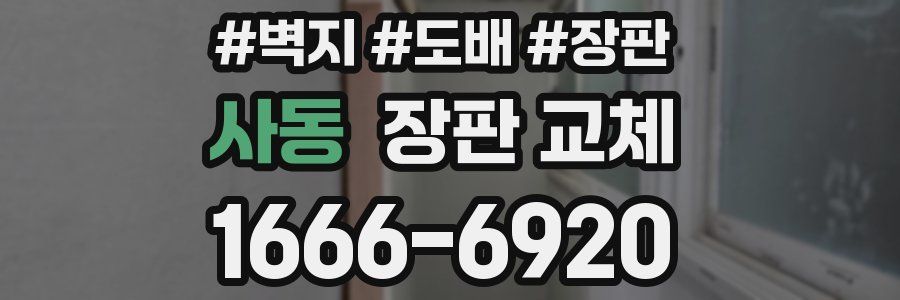 사동 장판 교체