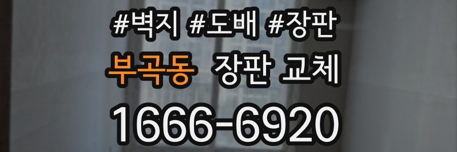 부곡동 장판 교체