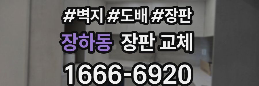 장하동 장판 교체