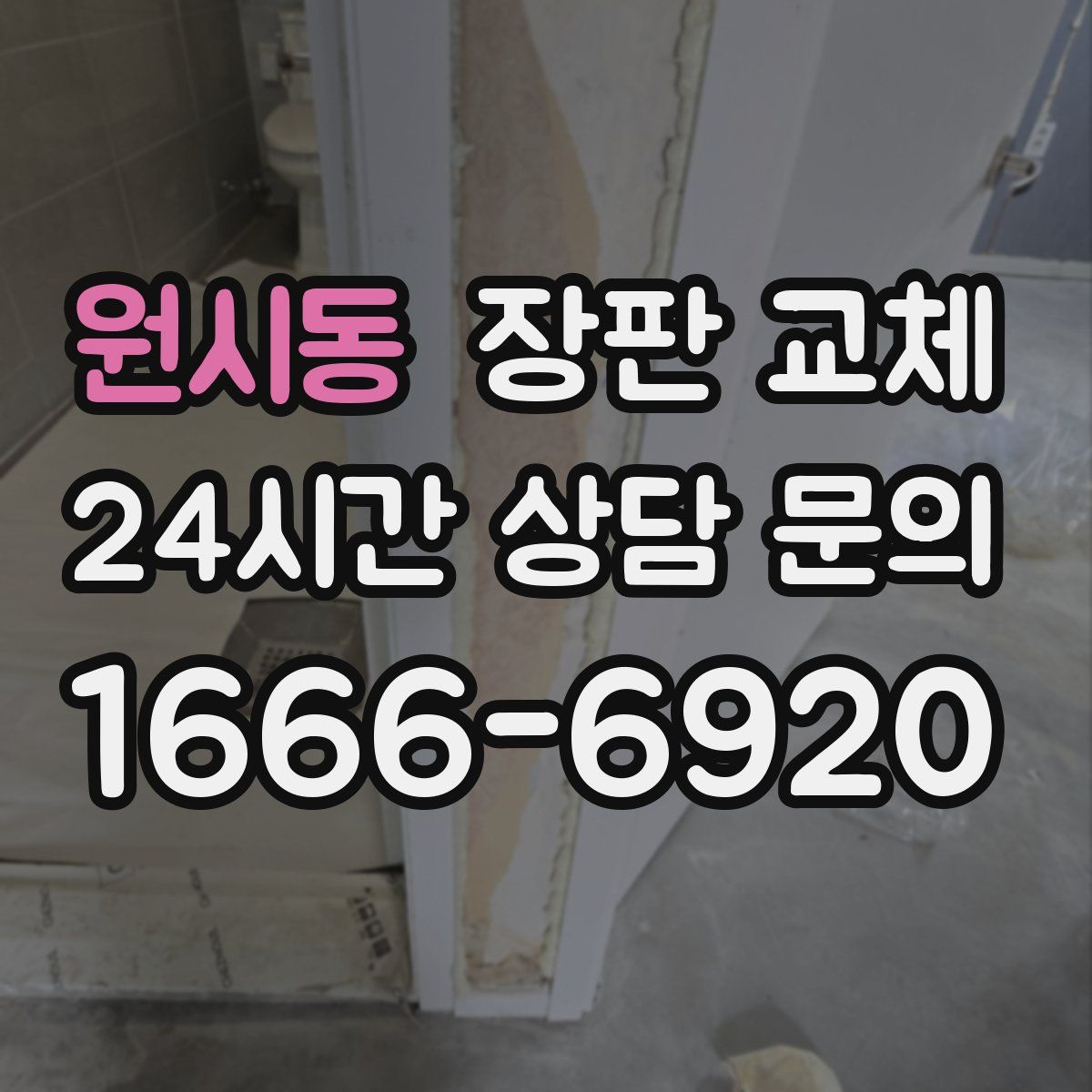 원시동 장판 교체