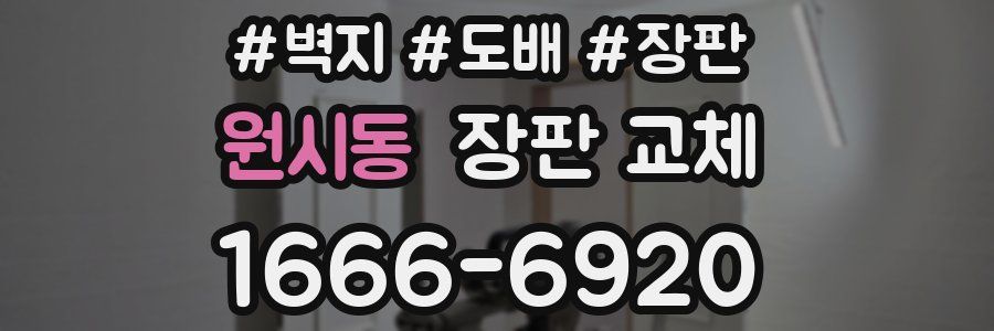 원시동 장판 교체