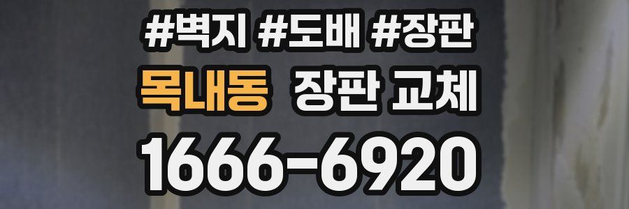목내동 장판 교체