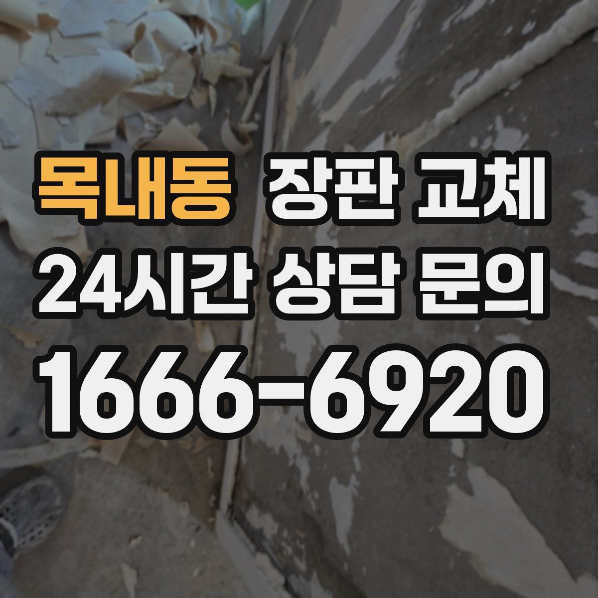목내동 장판 교체