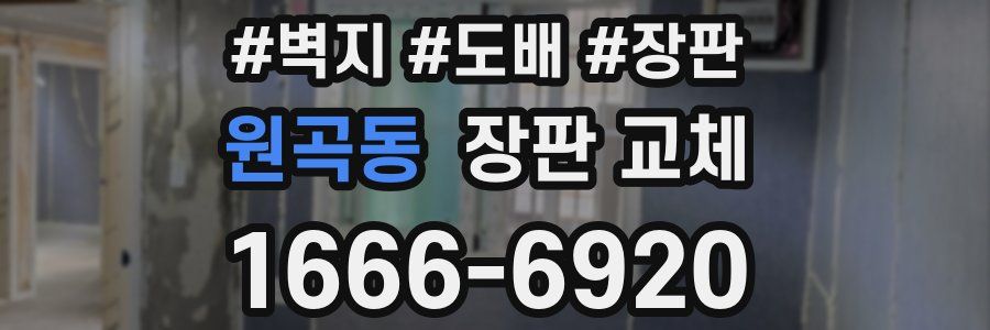 원곡동 장판 교체