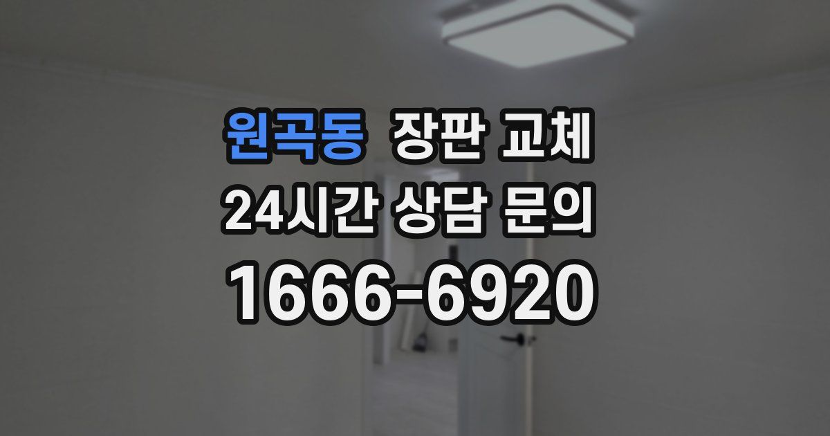 원곡동 장판 교체