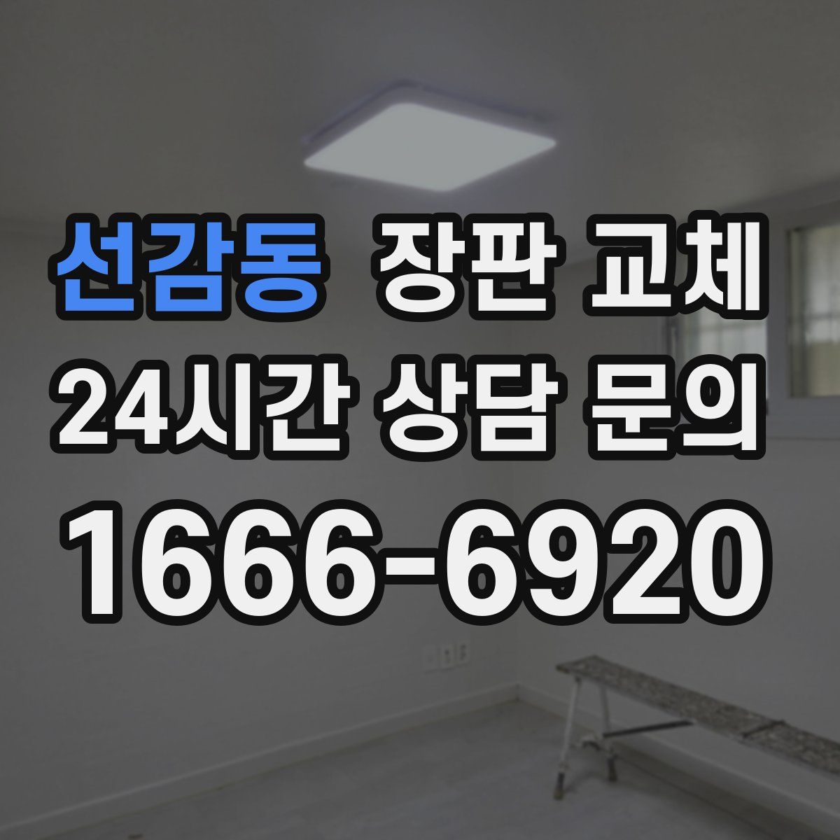선감동 장판 교체