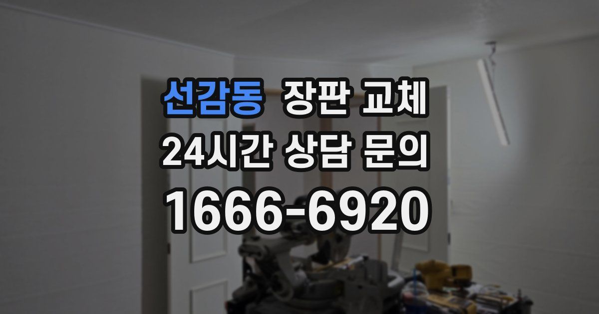 선감동 장판 교체