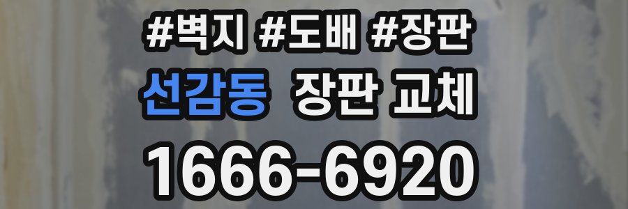 선감동 장판 교체