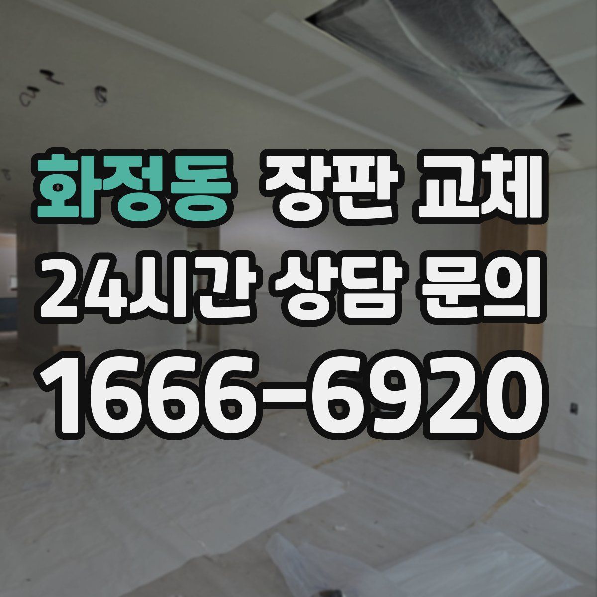 화정동 장판 교체
