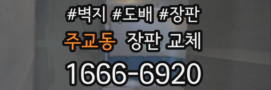 주교동 장판 교체