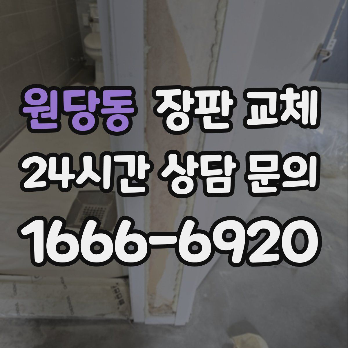 원당동 장판 교체
