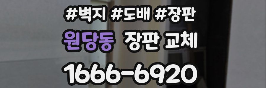 원당동 장판 교체