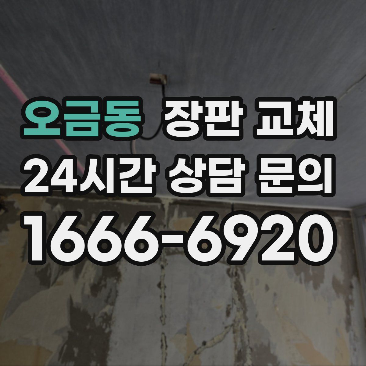오금동 장판 교체
