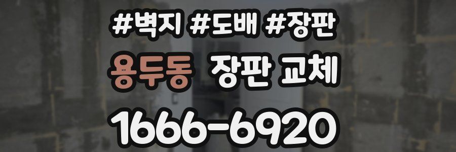 용두동 장판 교체