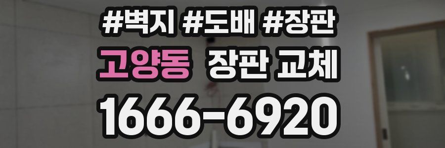 고양동 장판 교체