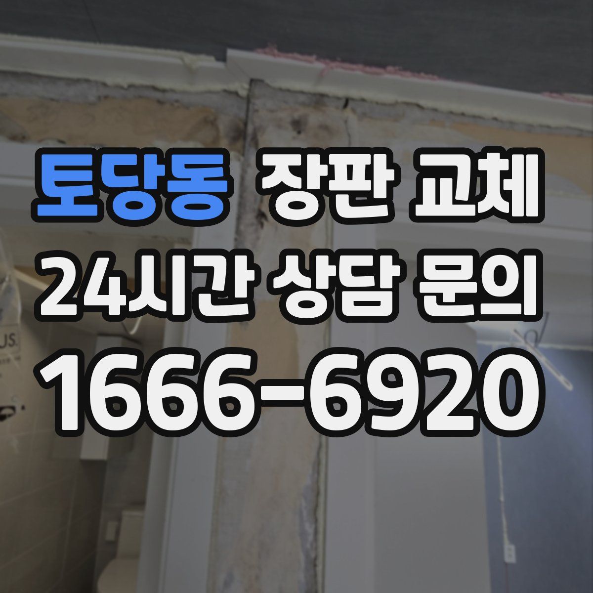 토당동 장판 교체