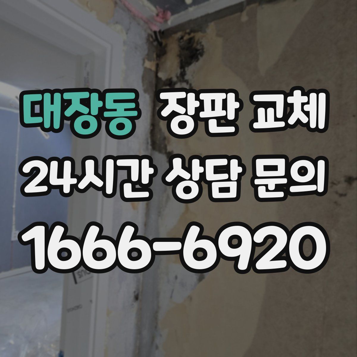 대장동 장판 교체